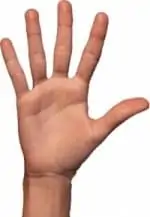 hand-fingers